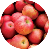 fruit material apples