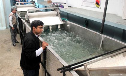 India customers ordered fruit bubble washing machine