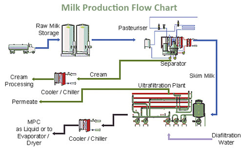 milk processing flow chart