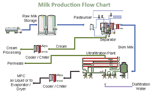 Milk Production Process Flow Chart A Visual Reference Of Charts