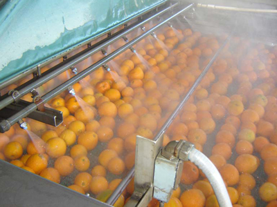 orange washing process
