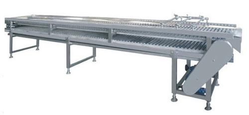 fruit sorting machine with rolling rod