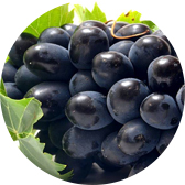 fruit material grapes