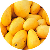 fruit material mangoes