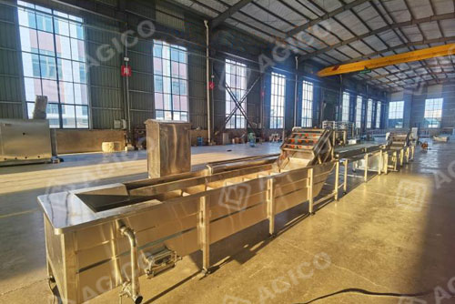 Mango pulp processing plant with aseptic filling