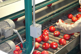 pomegranates sorting