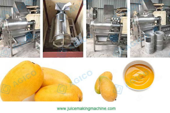 AGICO mango pulp making machine
