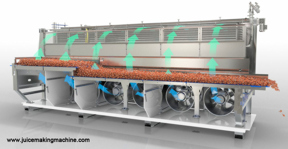 IQF freezing shrimp working