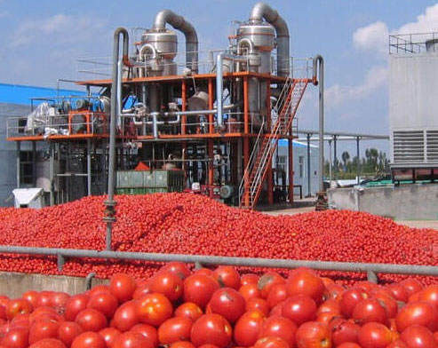 Tomato paste production line