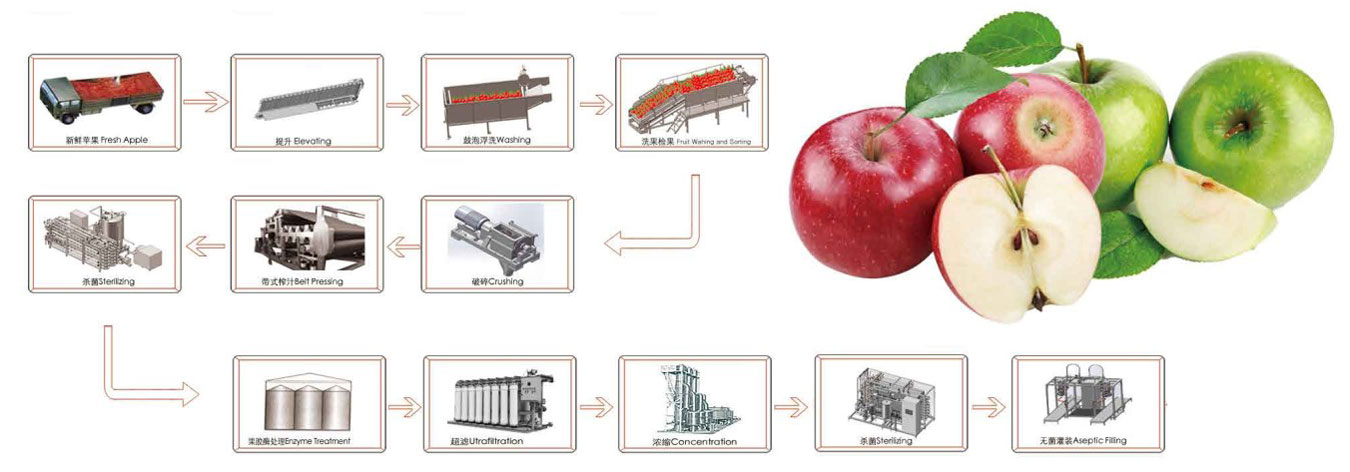 turnkey solutions of apple juice production line