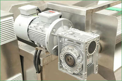 Adjustable speed motor of blanching machine