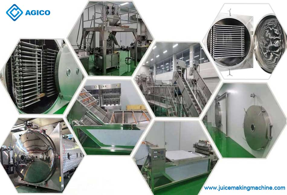 agico commercial freeze dryer