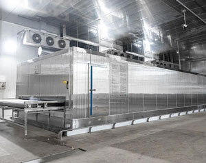 AGICO IQF tunnel freezer