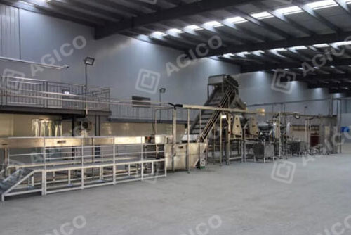 AGICO mango pulp production line project