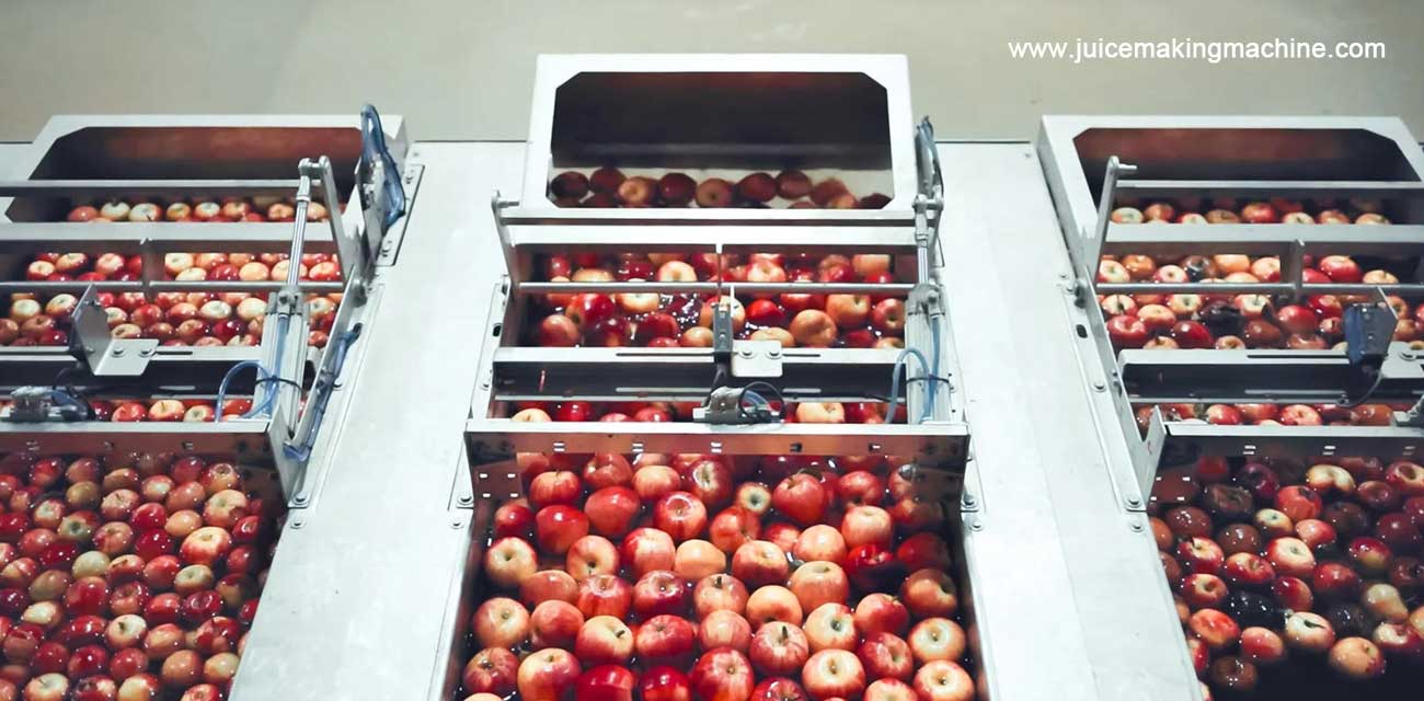 apple sorting machine
