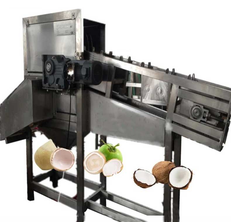 Automatic coconut cutting machine