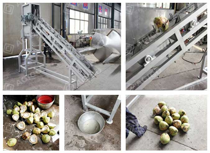 coconut half cutting machine