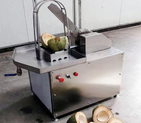 Coconut half cutting machine