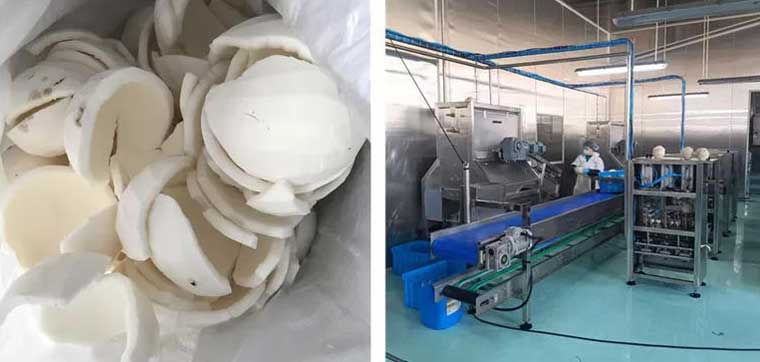 Coconut meat processing