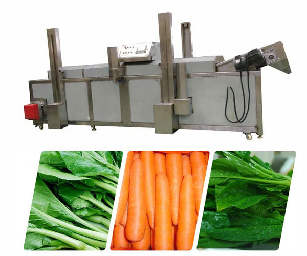 Continuous belt blanching machine gas type