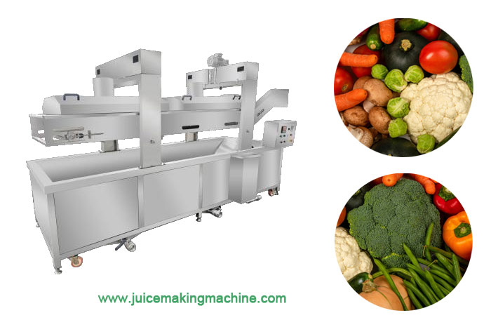 Continuous mesh belt blanching machine