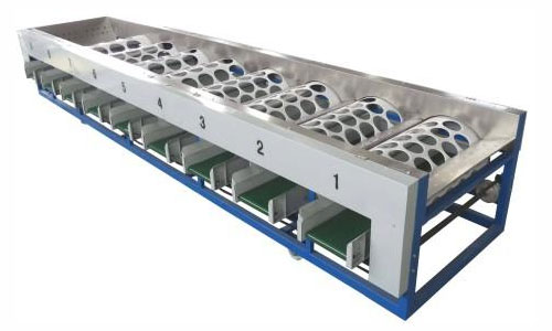 drum type apple sorting machine