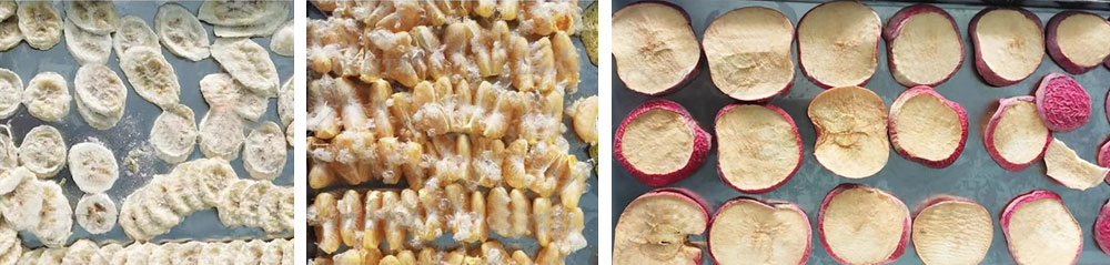 freeze dryer for home use to freeze dry fruits