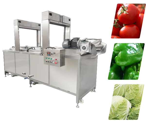 Continuous belt blanching machine electric type