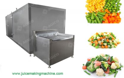 IQF Freezing Machine