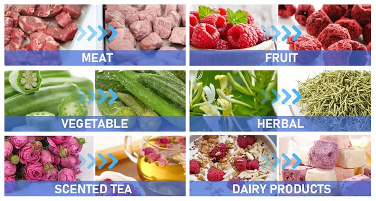 food freeze dryer application