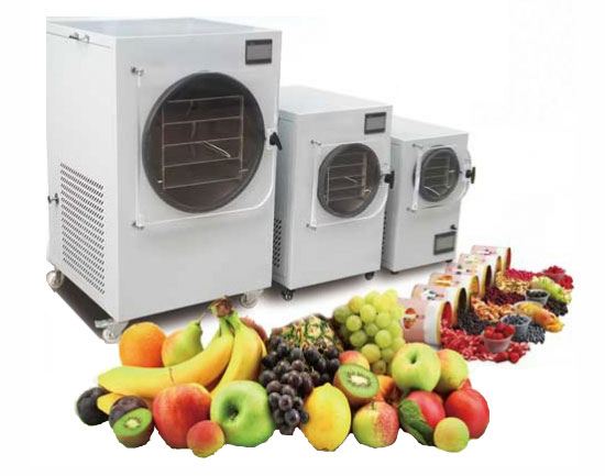 freeze dryer for home use