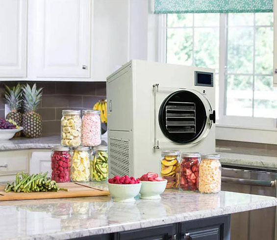 freeze dryer machine mini