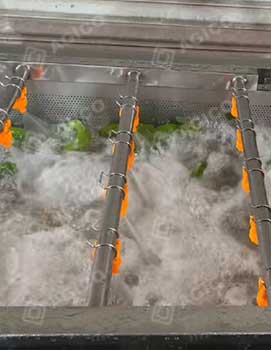 fruit bubble washing machine