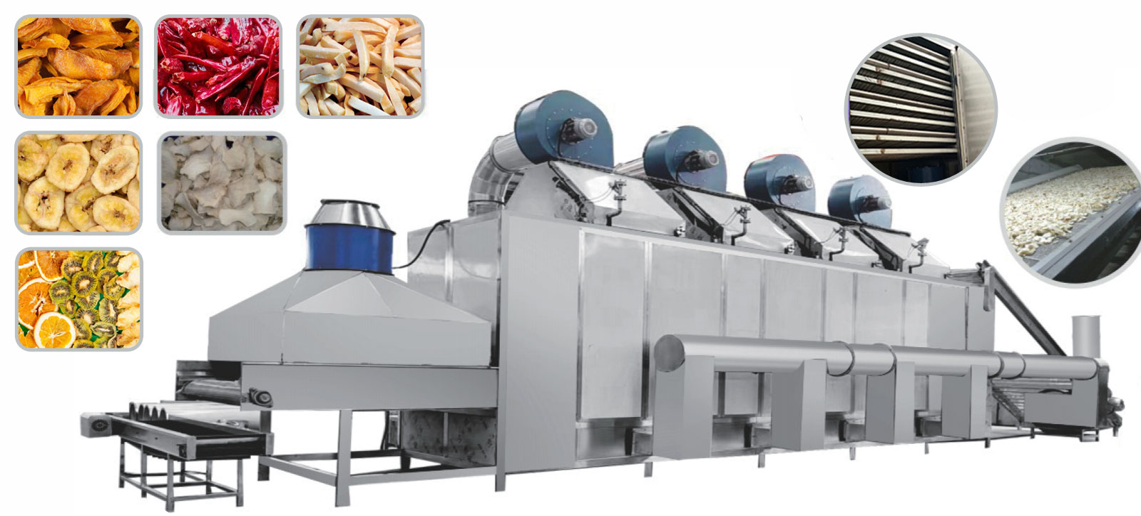 fruit and vegetable mesh belt dryer