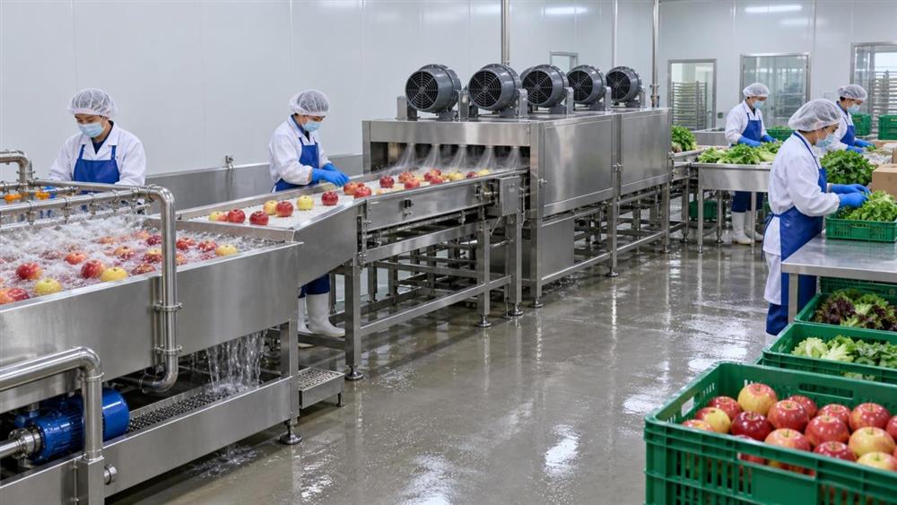 Fruit and vegetable washing line with continuous air drying before grading and packing