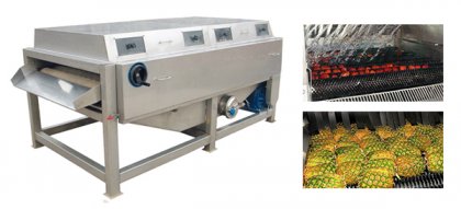 How to Choose Fruit Washing Machine