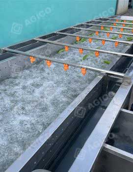 fruit bubble washing machine