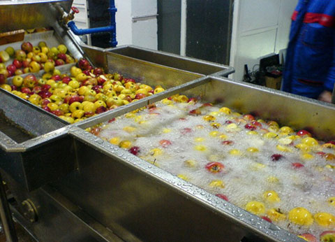 bubble washing machine washing apples