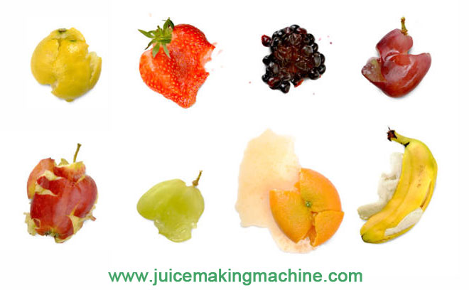 Fruit crusher grinder machine application