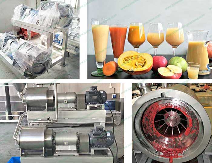fruit pulp machine