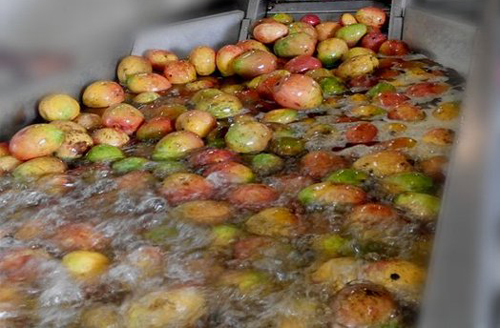 fruits in hot water