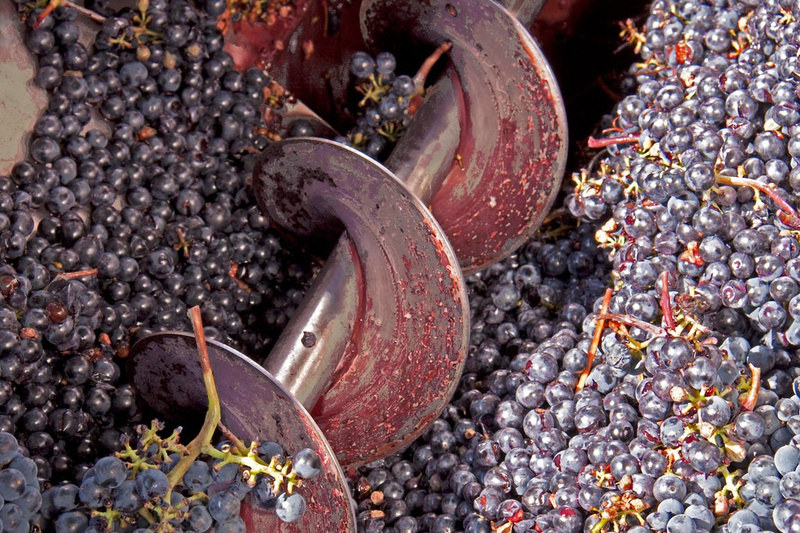 working principle of grape destemmer crusher