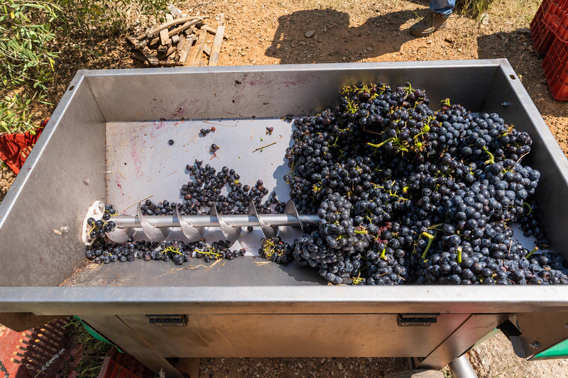 AGICO grape destemmer crusher working