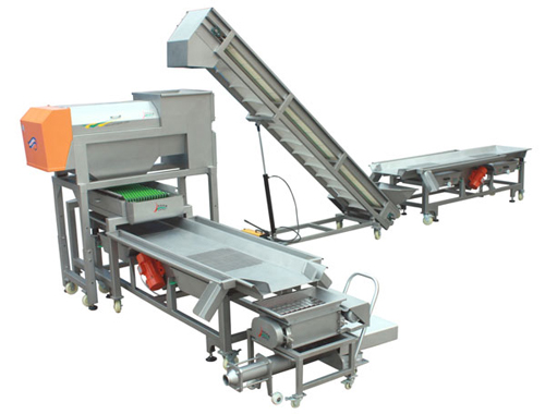 grape grain screening line