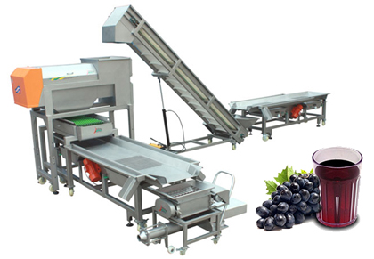 Grape juice production line