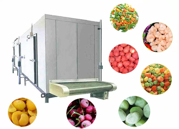 iqf tunnel freezer