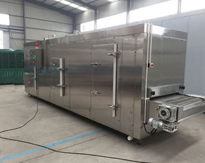 AGICO IQF tunnel freezer