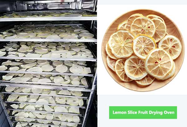 lemon slice in fruit drying oven