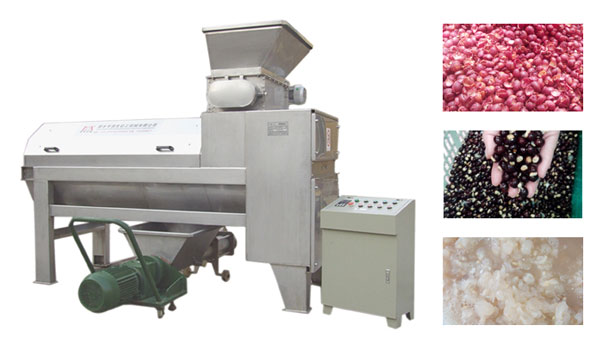 litchi core removing machine