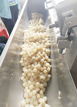 litchi peeling process